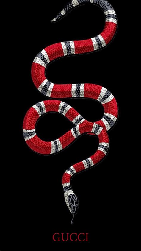 what snake is the gucci snake|why does gucci use snake.